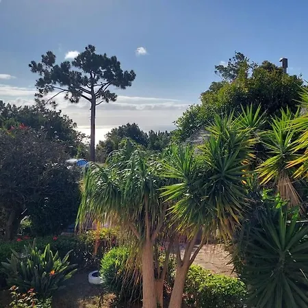 Viewpoint Machico - Lovely Nature View شقة